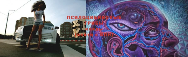 кокаин колумбия Заводоуковск