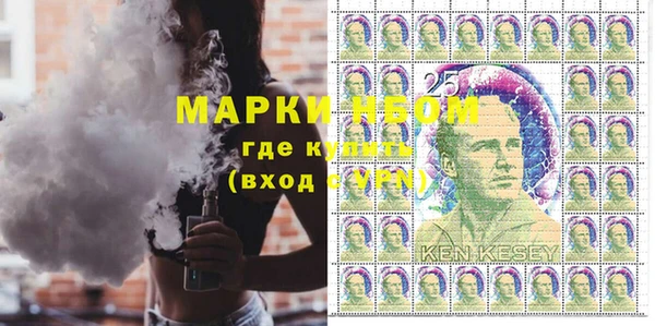 шишки Ельня