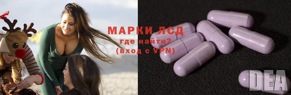 шишки Заволжье