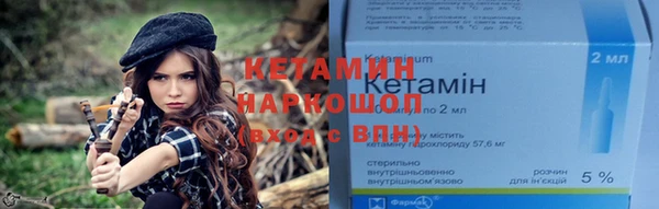 шишки Заволжье