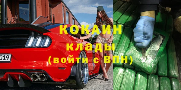 шишки Заволжье
