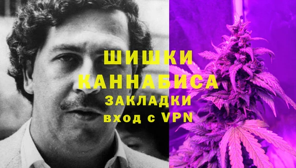 шишки Заволжье
