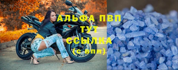 шишки Заволжье