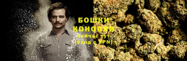 шишки Заволжье