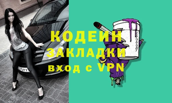 шишки Заволжье