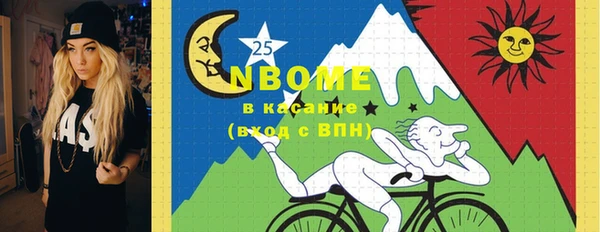шишки Заволжье
