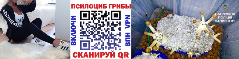 Псилоцибиновые грибы MAGIC MUSHROOMS  Сасово 